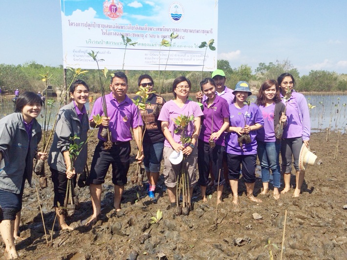 ‘ท่าเรือประจวบ’ ร่วมกิจกรรมปลูกป่าชายเลนเทิดพระเกียรติ 60 พรรษา สมเด็จพระเทพรัตนราชสุดาฯ สยามบรมราชกุมารี
